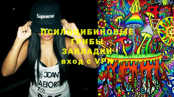 прущие крисы Каменногорск