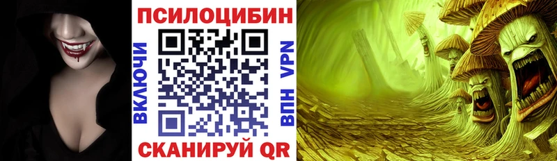 МЕГА вход Буйнакск Псилоцибиновые грибы Psilocybe